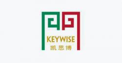 keywise logo