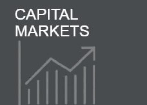 CAPITAL MARKETS